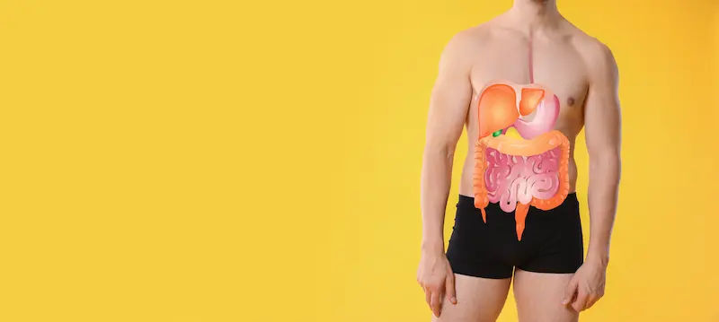 Metabolism Explained: What It Really Is and How to Support Yours